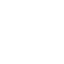 Vegan